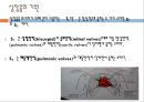 아동의신체사정, 귀신체사정, 코신체사정, 입신체사정, 인후신체사정, 가슴신체사정, 폐신체사정, 심장신체사정, 정상심잡음 15페이지