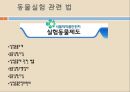 동물실험, 동물실험목적, 동물실험관련법, 동물실험논란, 동물실험실태, 동물실험찬성, 동물실험반대, 동물실험사례 7페이지