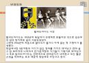 동물실험, 동물실험목적, 동물실험관련법, 동물실험논란, 동물실험실태, 동물실험찬성, 동물실험반대, 동물실험사례 13페이지