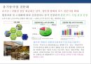 할인점 산업쇠퇴 & 할인점 big3(이마트. 롯데마트. 홈플러스) 대응전략 35페이지