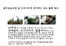 [ 스타벅스 마케팅 사례연구 PPT ] 스타벅스 기업분석과 스타벅스 마케팅 SWOT,STP,4P전략분서및 스타벅스 성공요인과 향수시사점 PPT 7페이지