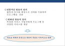 방송국과 방송산업 분석(지상파.종편.케이블.위성.IP TV) 4페이지