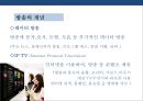 방송국과 방송산업 분석(지상파.종편.케이블.위성.IP TV) 8페이지