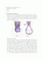 폐기종(pulmonary emphysema) 간호 2페이지