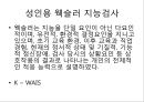 지능검사 2페이지