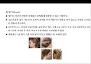 웨딩 업스타일 도구 및 기법 & 스타일표현기법 . 요소[Wedding eopseutail Tools and Techniques & Style representation techni 33페이지
