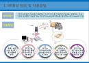 EDI,EDI의 장점,인터넷 정의 및 특징,통신시스템 및 인터넷,무선주파수인식기술,바코딩 및 스캐닝 14페이지