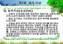 법의 개념,법의 이념,아리스토텔레스의 정의,법적 안정성,법이념의 상호관계,사회복지법,성문법,불문법 7페이지