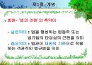 법의 개념,법의 이념,아리스토텔레스의 정의,법적 안정성,법이념의 상호관계,사회복지법,성문법,불문법 29페이지