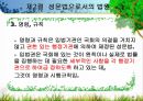 법의 개념,법의 이념,아리스토텔레스의 정의,법적 안정성,법이념의 상호관계,사회복지법,성문법,불문법 36페이지