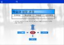 BSC 개념,BSC 사례연구,경영혁신 기법,성과측정 시스템,BSC 개념과  사례연구,포스코사례 13페이지