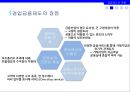 금융제도의 의의,금융위기 이후 금융제도 개편,금융제도의 유형,지급결제제도,금융기관 겸업제한,금융지주회사,예금보험제도,한국의 차등예금보험료 제도 6페이지