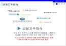 금융제도의 의의,금융위기 이후 금융제도 개편,금융제도의 유형,지급결제제도,금융기관 겸업제한,금융지주회사,예금보험제도,한국의 차등예금보험료 제도 22페이지