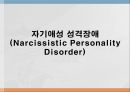 성격장애란,성격장애의 유형,연극성 성격장애,자기애성 성격장애,성격 장애 치료,치료프로그램 15페이지