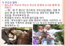 발도르프 교육의 목적,루돌프 슈타이너와 인지학,인지학의 성립,교육이념으로서의 인지학,인지학과 인식과 교육,윤회와 업보 36페이지