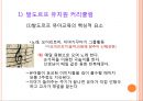 발도르프 교육의 목적,루돌프 슈타이너와 인지학,인지학의 성립,교육이념으로서의 인지학,인지학과 인식과 교육,윤회와 업보 44페이지