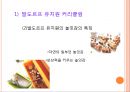 발도르프 교육의 목적,루돌프 슈타이너와 인지학,인지학의 성립,교육이념으로서의 인지학,인지학과 인식과 교육,윤회와 업보 46페이지