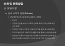 초등체육과 교육과정,초등 학교 체육과 교수·학습,아동기의 건강과 체력,아동 운동의 생리학,아동운동의 심리적 47페이지