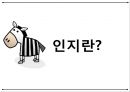 인지란,인지발달이란,피아제의 인지발달론,피아제의 인지발달 단계,피아제의 인지발달 2페이지