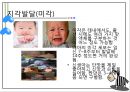 인지란,인지발달이란,피아제의 인지발달론,피아제의 인지발달 단계,피아제의 인지발달 15페이지