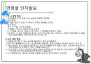 인지란,인지발달이란,피아제의 인지발달론,피아제의 인지발달 단계,피아제의 인지발달 24페이지