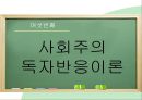독자반응주의 비평,독자반응이론,영향 문체론,사회주의 독자반응이론 21페이지