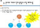 글로벌기업의 경영관리,글로벌기업의 조직구조와 인적자원관리,ABB 브랜드마케팅,서비스마케팅,글로벌경영,사례분석,swot,stp,4p 18페이지