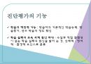 교육평가의 유형,양적평가와  질적평가,진단평가,형성평가,총합평가 16페이지