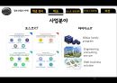IT기업 성장전략 분석,포스코ICT, 마이더스 IT,포스코 성장전략,브랜드마케팅,서비스마케팅,글로벌경영,사례분석,swot,stp,4p 6페이지