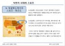 북미 스포츠 문화의 이해,식민지 시대의 스포츠,자본주의 확대기,학교체육의 스포츠,자본주의 스포츠 전환기,미국의 4대 스포츠 4페이지