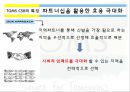 TOMS 마케팅,코즈마케팅 디자인 광고방식,TOMS CSR,브랜드마케팅,서비스마케팅,글로벌경영,사례분석,swot,stp,4p 13페이지