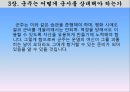 군주국의 종류와 성립과정,세습군주국,복합군주국,새로운 군주국,군주가 된 사람들,시민형 군주국,군주국의 국력에 대한 평가 32페이지