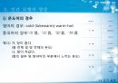 민간 모형의 기본 개념,민간 모형의 양상,민간 모형의 의의,감각표현,감정표현,속담 및 속언 15페이지