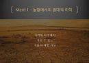 GMO란 무엇인가,유전자 변형 농수산물 GMO,다양한 GMO의 개발 가능성,의료분야의 활용,유전자 조작 식물 백신 연구,유전자 변형 먹거리(GMO)의 진실 6페이지