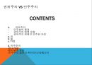 권위주의 VS 민주주의,민주화의 물결,권위주의 체제 유형,권위주의 체제의 민주화 과정 2페이지