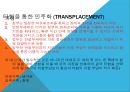 권위주의 VS 민주주의,민주화의 물결,권위주의 체제 유형,권위주의 체제의 민주화 과정 27페이지