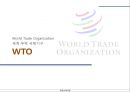 국제통상 체제의 변화 과정,GATT 체제,GATT의 의의,WTO 체제,WTO의 과제,WTO VS GATT,DDA 체제,DDA의 과제,DDA의 한계점 15페이지