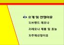 레모나 마케팅,레모나 경영,레모나,브랜드마케팅,서비스마케팅,글로벌경영,사례분석,swot,stp,4p 3페이지