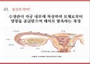사랑 임신 피임,혼전성관계와 피임,피임법이 건강,임신과 피임에 대한 책임,남성 피임법,여성 피임법 4페이지