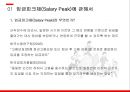 경영전략론,임금피크제 유형,임금피크제 도입배경,임금피크제에 대한 현재 실태,임금피크제 도입목적 4페이지