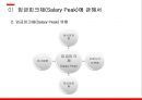 경영전략론,임금피크제 유형,임금피크제 도입배경,임금피크제에 대한 현재 실태,임금피크제 도입목적 5페이지