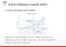 경영전략론,임금피크제 유형,임금피크제 도입배경,임금피크제에 대한 현재 실태,임금피크제 도입목적 6페이지