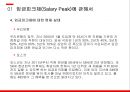 경영전략론,임금피크제 유형,임금피크제 도입배경,임금피크제에 대한 현재 실태,임금피크제 도입목적 10페이지