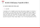 경영전략론,임금피크제 유형,임금피크제 도입배경,임금피크제에 대한 현재 실태,임금피크제 도입목적 11페이지