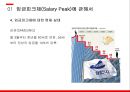 경영전략론,임금피크제 유형,임금피크제 도입배경,임금피크제에 대한 현재 실태,임금피크제 도입목적 12페이지