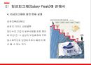경영전략론,임금피크제 유형,임금피크제 도입배경,임금피크제에 대한 현재 실태,임금피크제 도입목적 14페이지