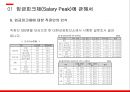 경영전략론,임금피크제 유형,임금피크제 도입배경,임금피크제에 대한 현재 실태,임금피크제 도입목적 16페이지