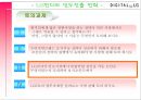 LG전자의 인도진출,LG전자 소개,LG전자의 글로벌화,LG전자의 해외진출,브랜드마케팅,서비스마케팅,글로벌경영,사례분석,swot,stp,4p 29페이지