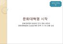 문화대혁명,중화인민공화국,대약진,해서파관,홍위병,패왕별희 사회현상,문혁에 대한 중국 10페이지
