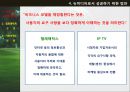 뉴미디어와 비즈니스 모델,뉴미디어의 정의,모았던 IP TV DMB 위성TV,올드-플러스 미디어,인터넷 포털, SNS, 온라인게임, 온라인쇼핑몰 31페이지